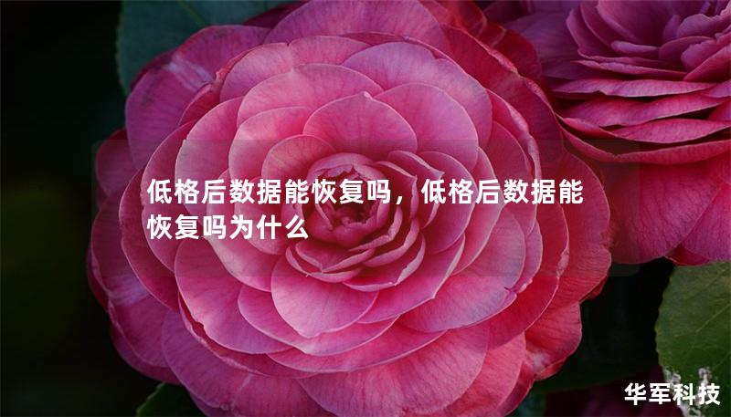 低格后數據能恢復嗎，低格后數據能恢復嗎為什么