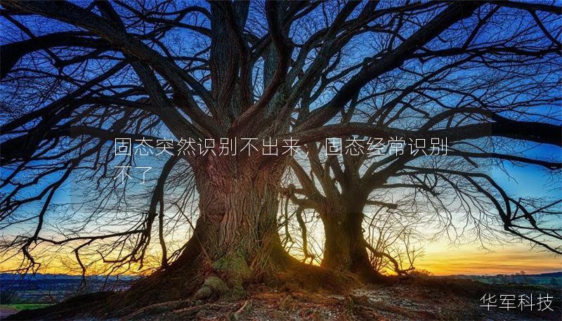 固態突然識別不出來，固態經常識別不了