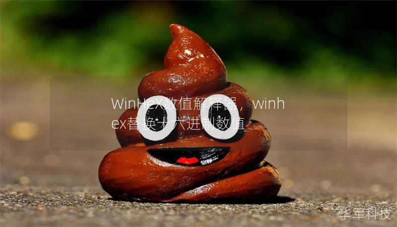 WinHeX數值解釋器，winhex替換十六進制數值