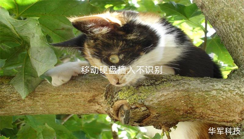 移動硬盤插入不識別