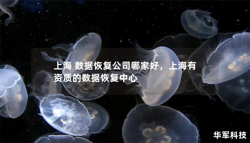 上海 數據恢復公司哪家好，上海有資質的數據恢復中心