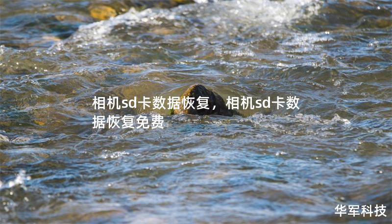相機sd卡數據恢復，相機sd卡數據恢復免費