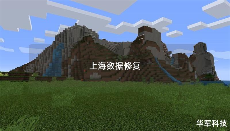 上海數(shù)據(jù)修復(fù)