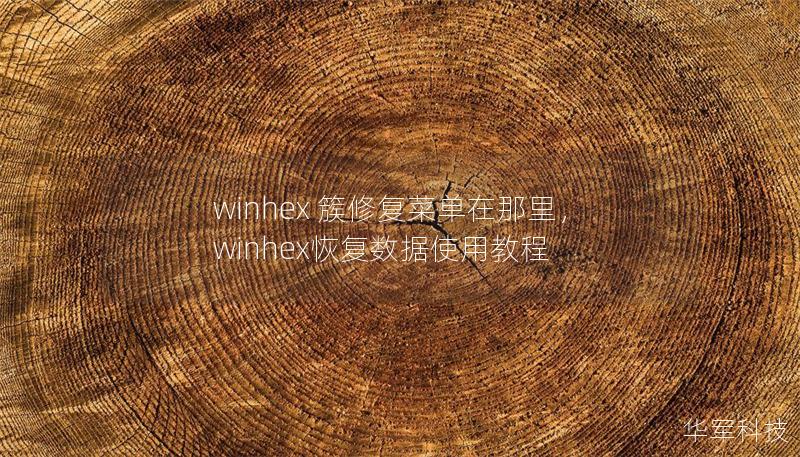 winhex 簇修復菜單在那里，winhex恢復數據使用教程