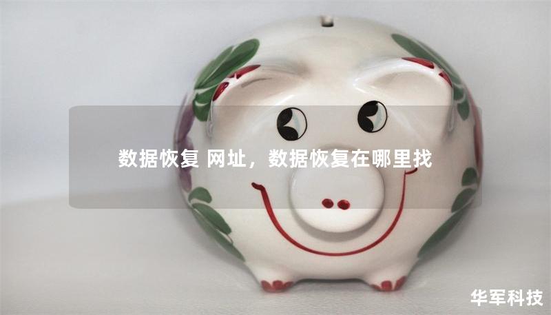 數(shù)據(jù)恢復(fù) 網(wǎng)址，數(shù)據(jù)恢復(fù)在哪里找