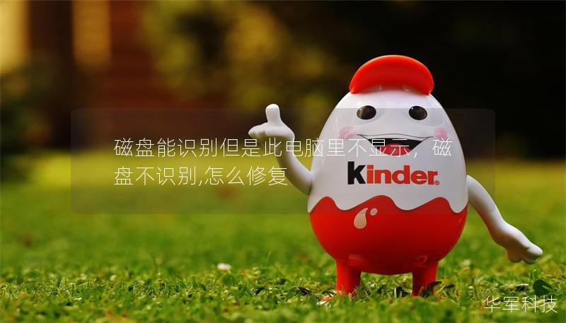 磁盤能識別但是此電腦里不顯示，磁盤不識別,怎么修復