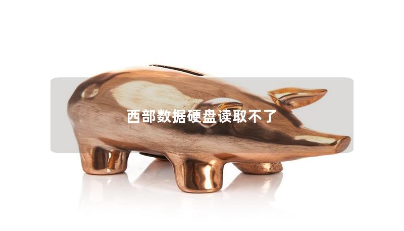 西部數(shù)據(jù)硬盤(pán)讀取不了