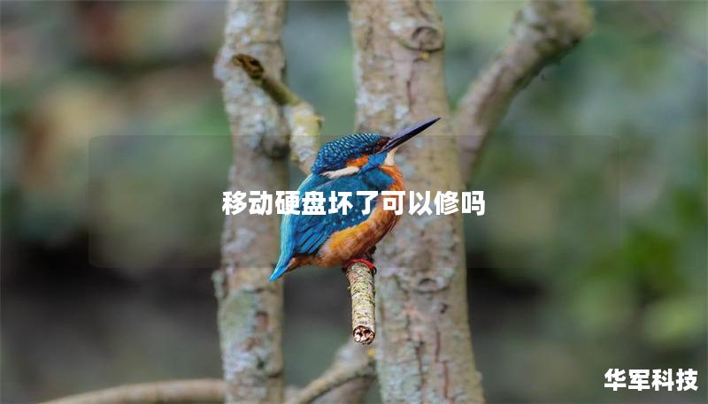 移動硬盤壞了可以修嗎