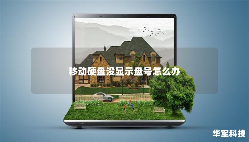 移動硬盤沒顯示盤號怎么辦