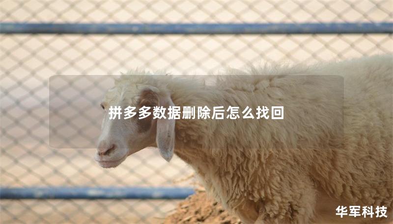 拼多多數(shù)據(jù)刪除后怎么找回