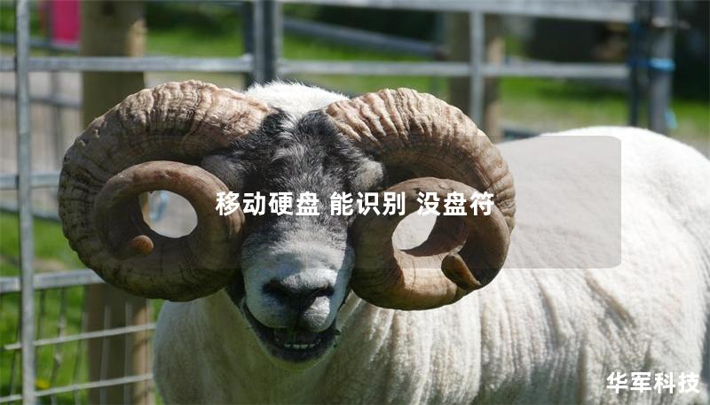 移動硬盤 能識別 沒盤符