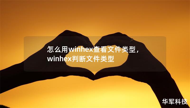 怎么用winhex查看文件類型，winhex判斷文件類型