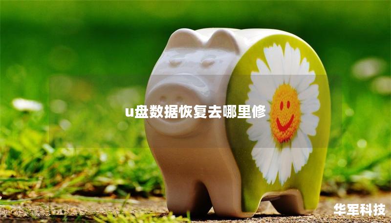 u盤數據恢復去哪里修