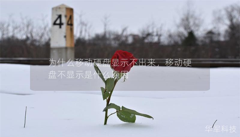為什么移動硬盤顯示不出來，移動硬盤不顯示是什么原因