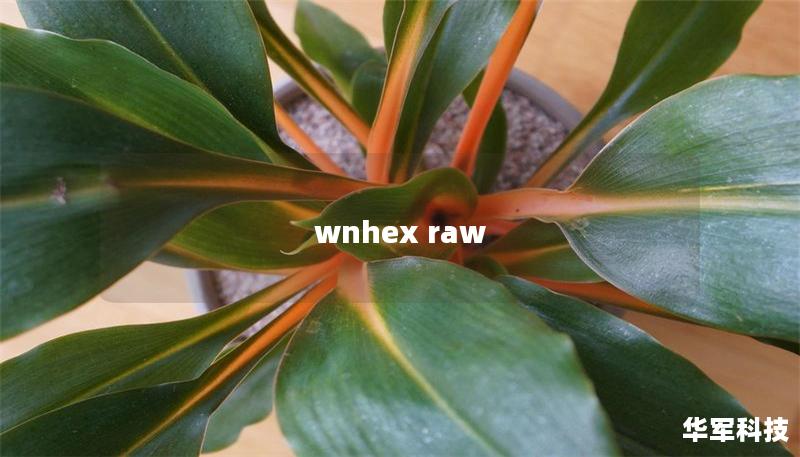 wnhex raw