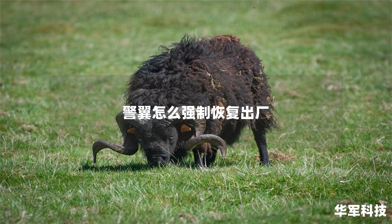 警翼怎么強制恢復出廠 警翼怎么強制恢復出廠