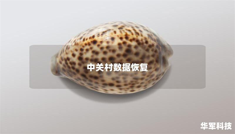 中關村數據恢復