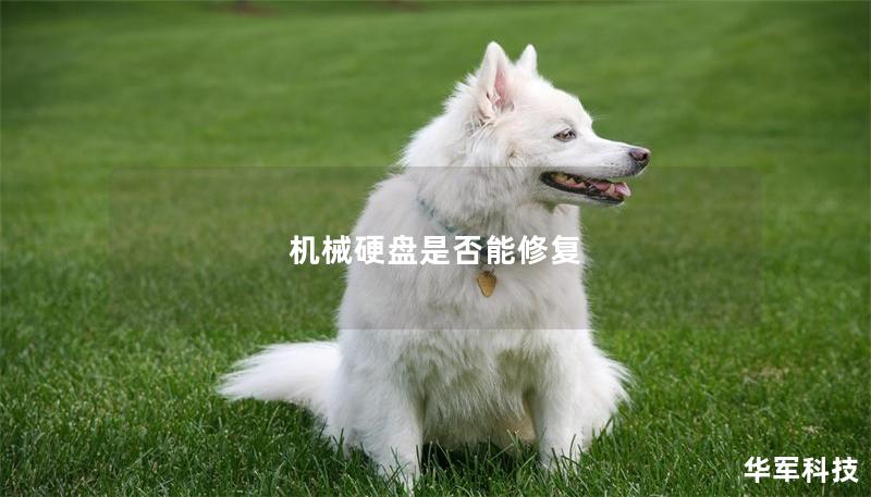 機械硬盤是否能修復 機械硬盤是否能修復