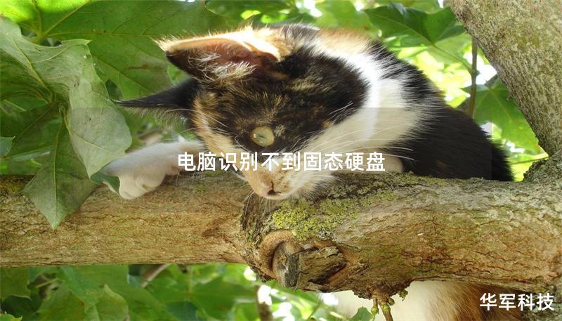 電腦識別不到固態硬盤