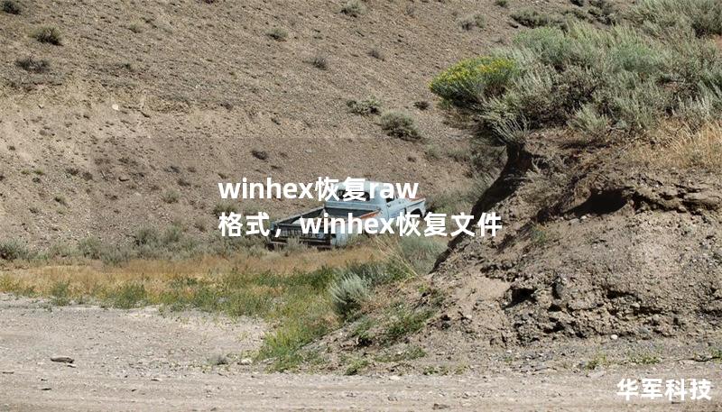 winhex恢復raw 格式，winhex恢復文件