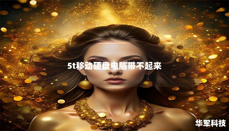 5t移動硬盤電腦帶不起來