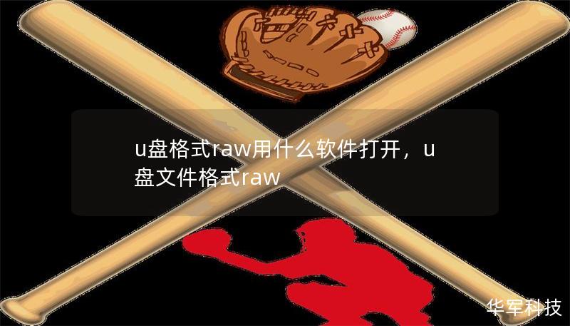 u盤格式raw用什么軟件打開，u盤文件格式raw