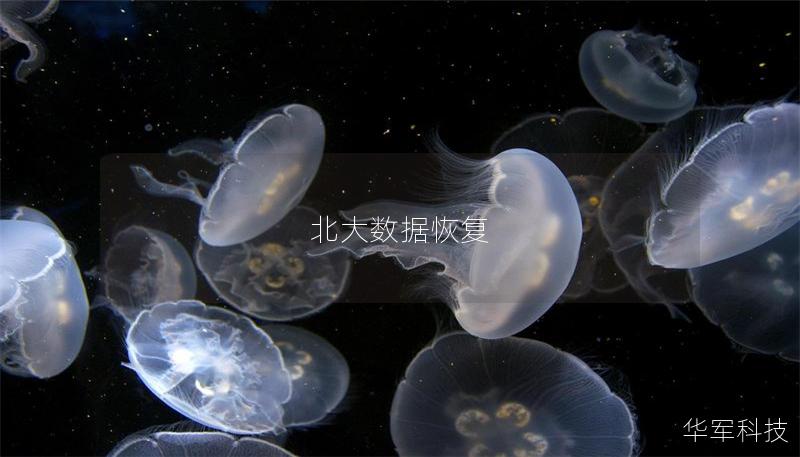 北大數據恢復