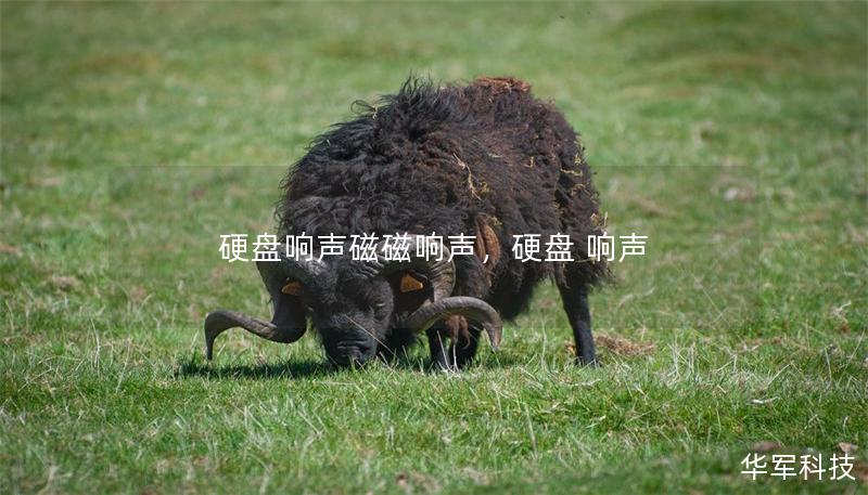 硬盤響聲磁磁響聲，硬盤 響聲