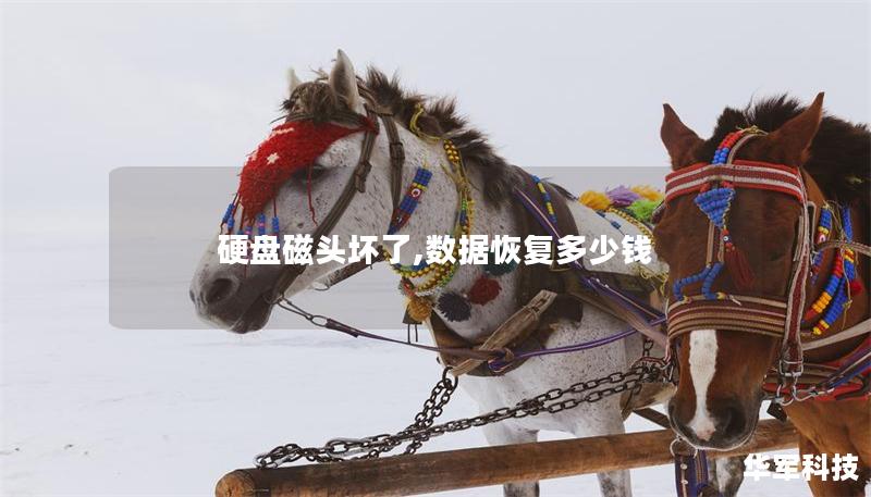 硬盤磁頭壞了,數據恢復多少錢