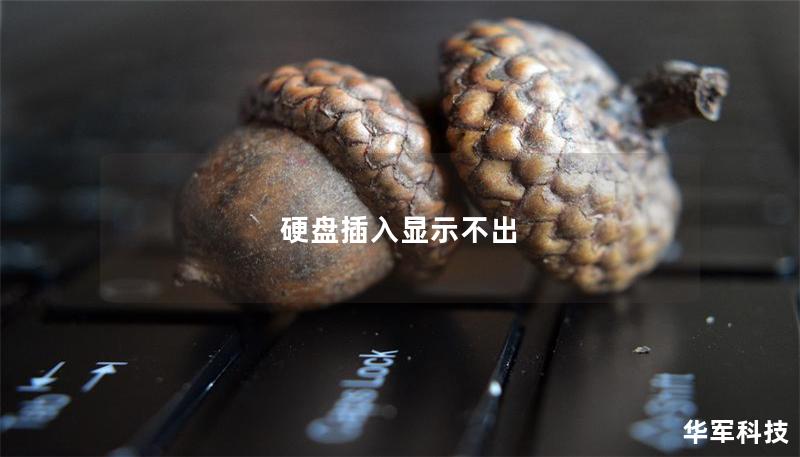硬盤插入顯示不出