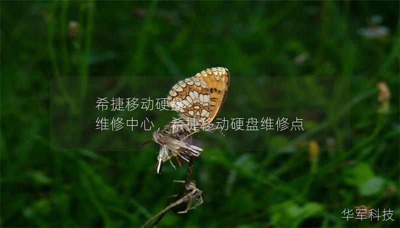 希捷移動硬盤 維修中心，希捷移動硬盤維修點