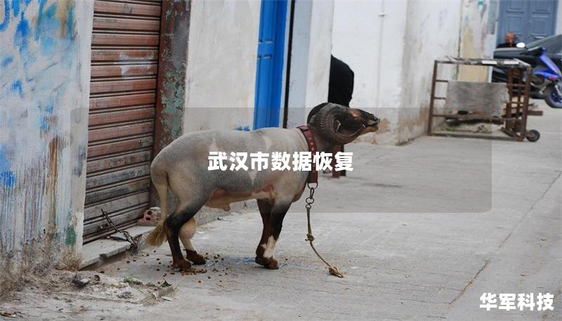 武漢市數據恢復