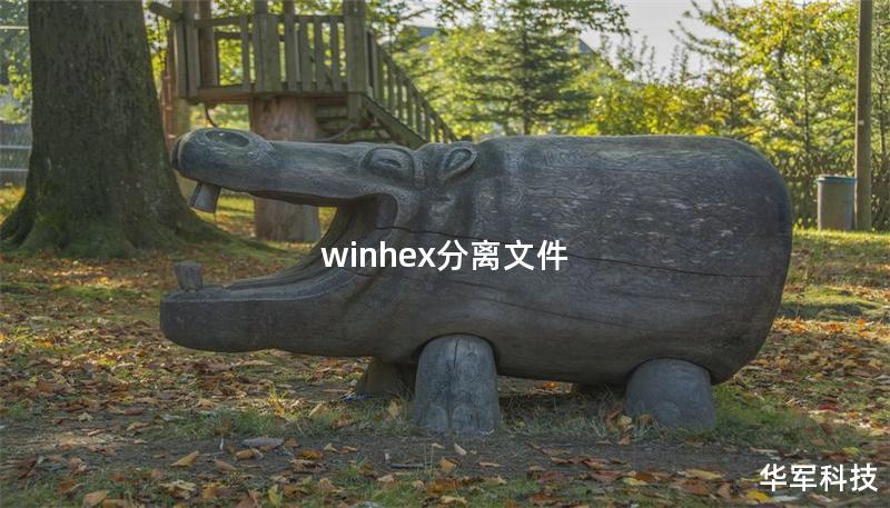 winhex分離文件
