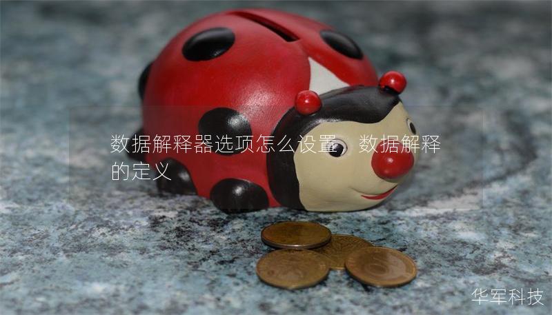 數據解釋器選項怎么設置，數據解釋的定義