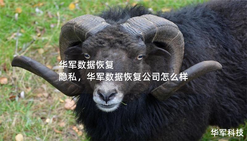 技王數(shù)據恢復 隱私，技王數(shù)據恢復公司怎么樣