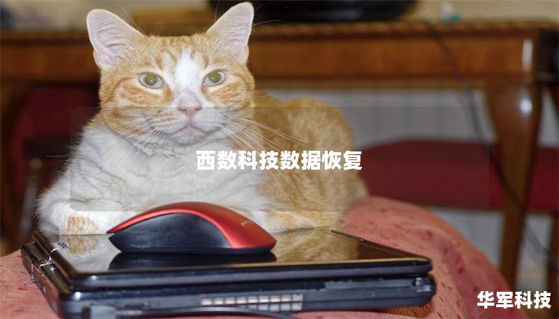 西數科技數據恢復