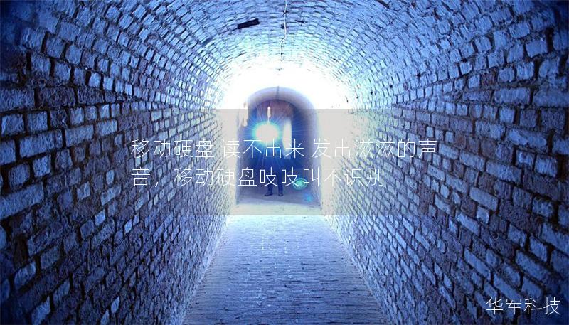 移動硬盤 讀不出來 發出滋滋的聲音，移動硬盤吱吱叫不識別