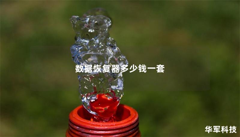 數據恢復器多少錢一套