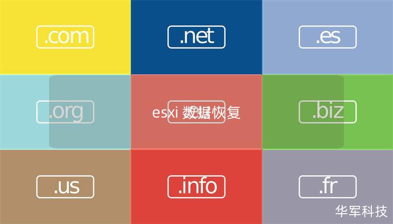 esxi 數據恢復