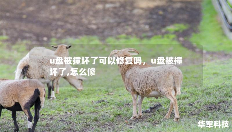 u盤被撞壞了可以修復(fù)嗎，u盤被撞壞了,怎么修