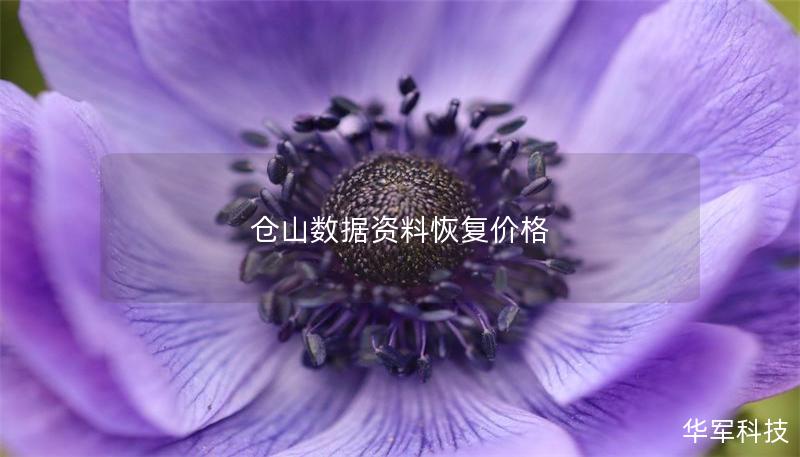 倉山數據資料恢復價格